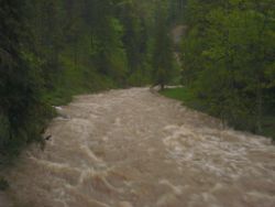 2013-06-01_Regina-F-Rau_Staffelalm_Hochwasser (168).JPG